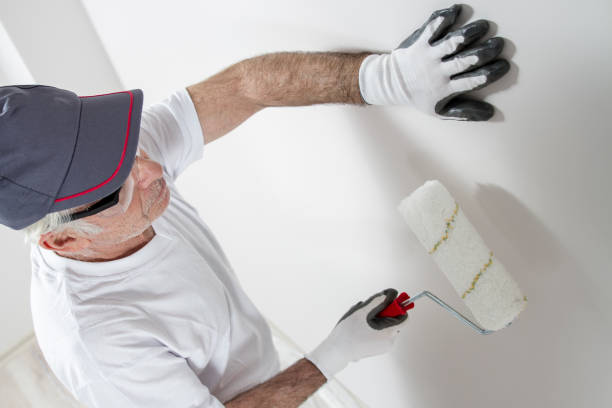 Best Black Mold Removal  in Jamestown, OH