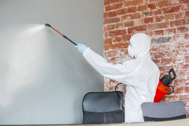 Best Indoor Air Quality Assessment  in Jamestown, OH